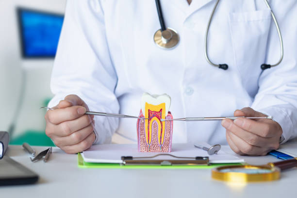 Best Emergency Root Canal Treatment in Guilford Center, CT